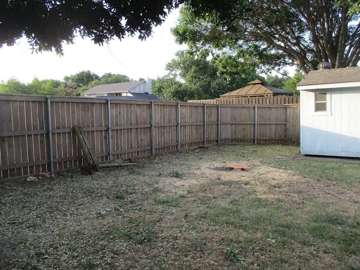 Cleared yard after professional tree removal in Saint Olaf